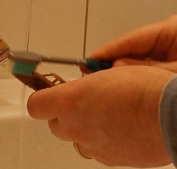 photo 6.l'heure du bain
