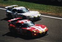 Vipers.Cliquez pour agrandir