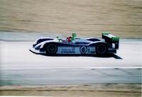 Dallara Judd.Cliquez pour acc�der � la page
