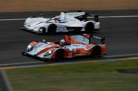 Oak Pescarolo .Cliquez pour acc�der � la page